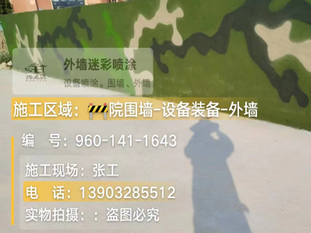 昌江 迷彩漆喷涂价格（按平方米计费）